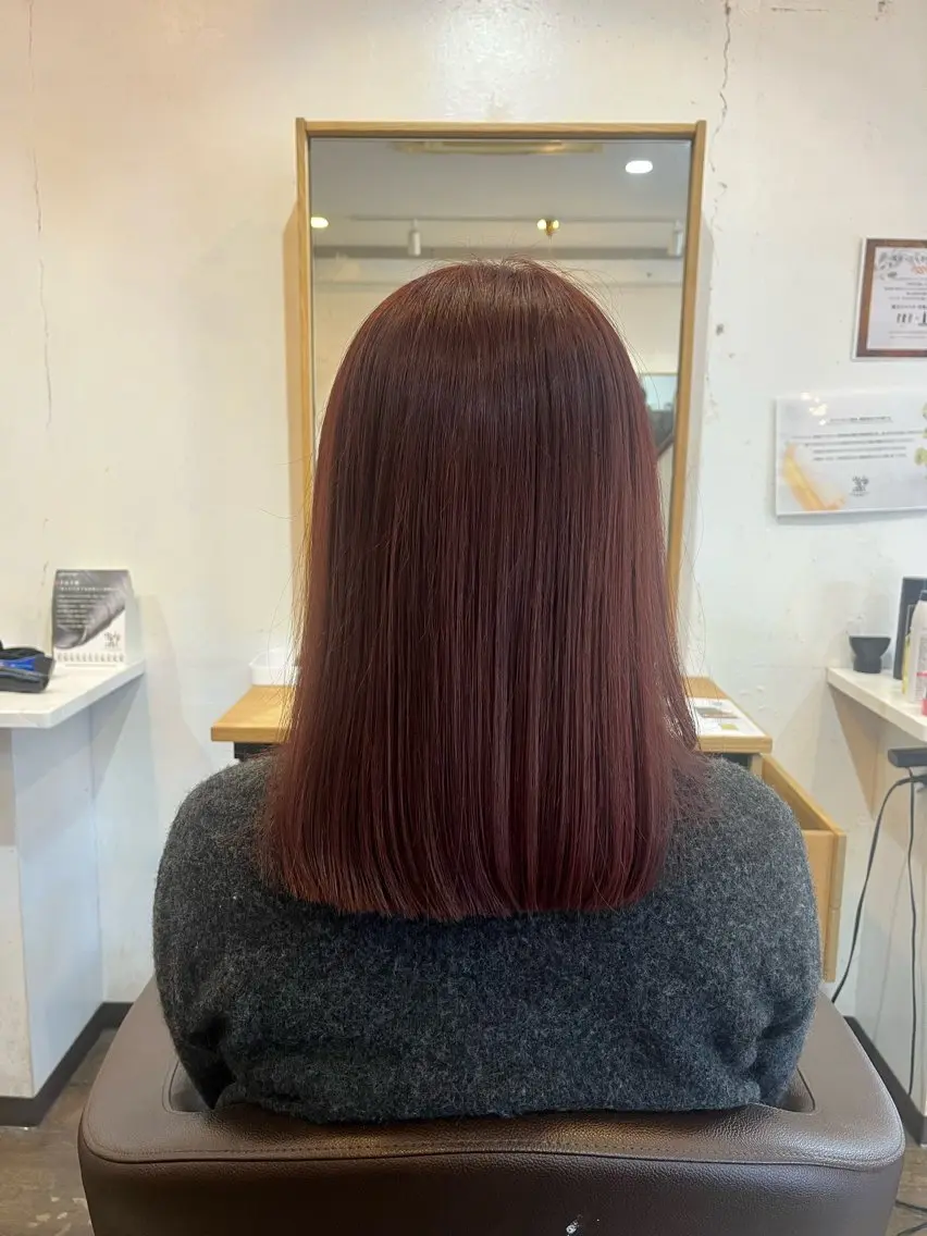 セミロング レッドブラウン 鶴 章英のヘアスタイル