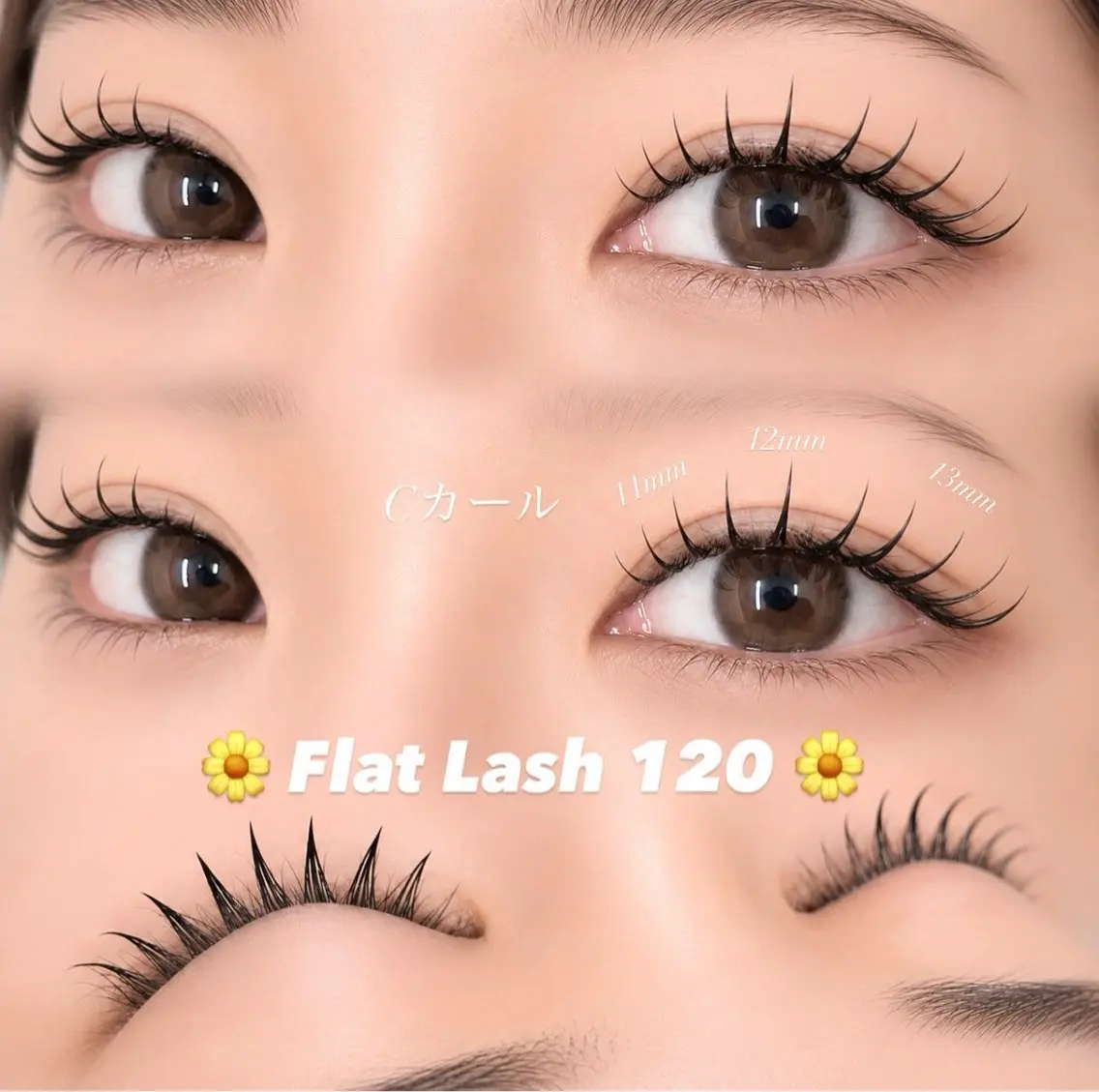 【✨️期間限定✨️】フラットラッシュ120本🩵コーティング付🩵オフなし🩵 J.C.Dカールございます🎶の写真