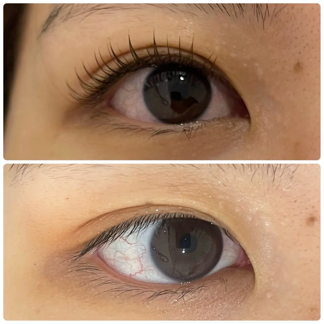 マツエク・マツパ 付け放題 フラットラッシュ ナチュラル 一重×まつ毛パーマ マツエク eyelash salon　TOKIのマツエク・マツパデザイン