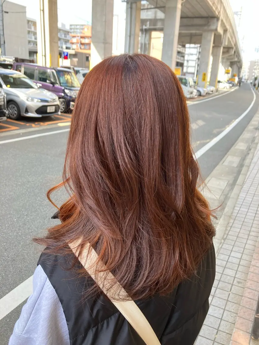 カラーの写真