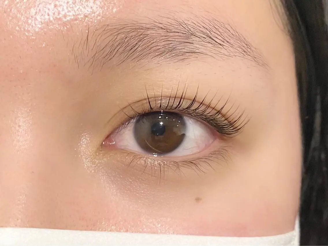 マツエク・マツパ パリジェンヌラッシュリフト 🌺IVY-LINE 上野店るな🌺の眉毛・アイブロウイメージ