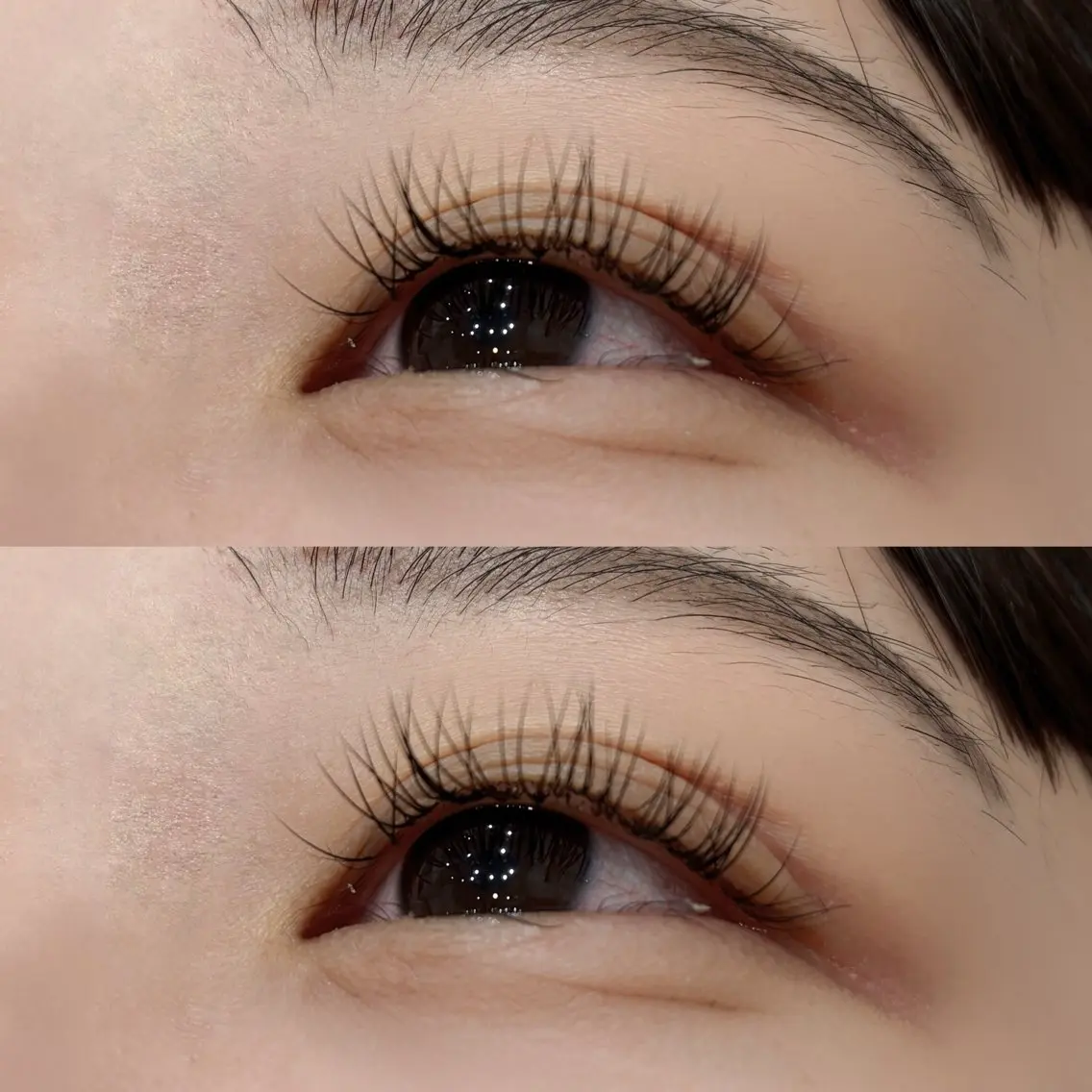 マツエク・マツパ Cカール BEAUTYGENE 🪽Yokoyamaの眉毛・アイブロウイメージ