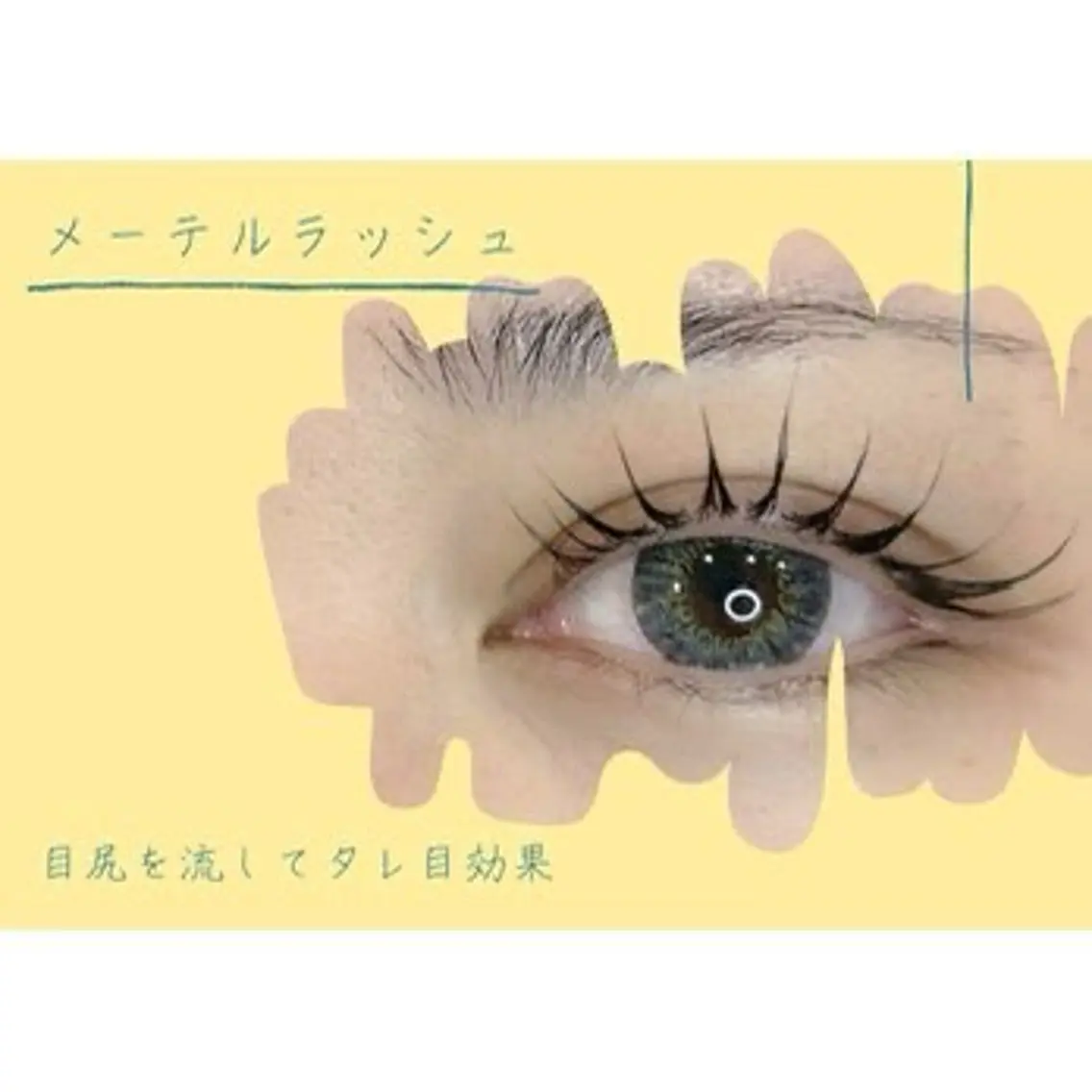 💫タレ目デザイン🐣メーテルラッシュリフト⭐️※練習モデルの写真