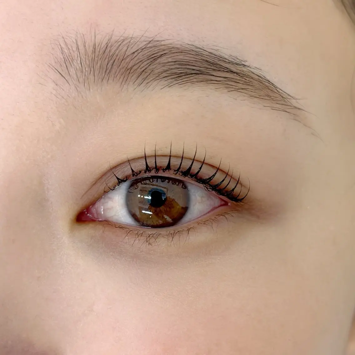マツエク・マツパ 🍒Yui 🍒eyelashの眉毛・アイブロウイメージ