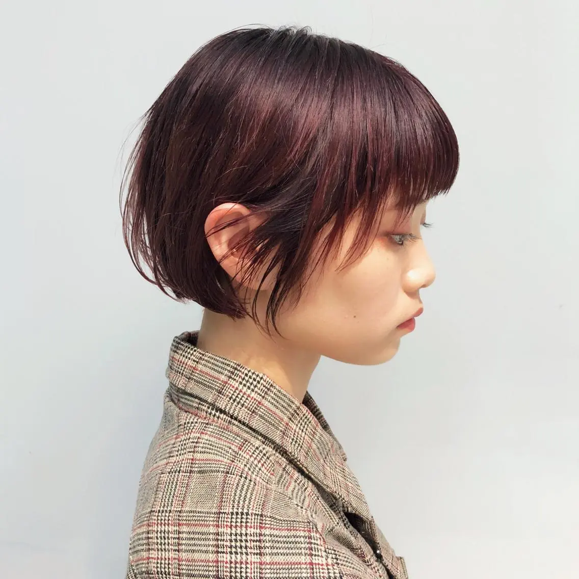 ショート カラー カシス パープルカラー Kaito🐶 /デザイン/レイヤーのヘアスタイル