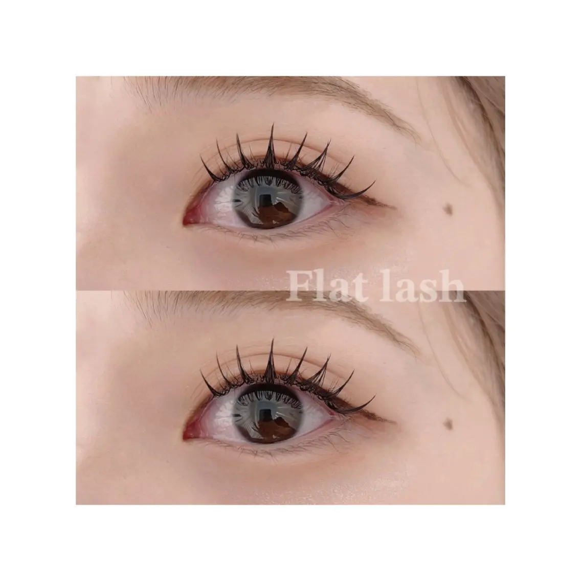 🌷フラットラッシュ160本🌷の写真