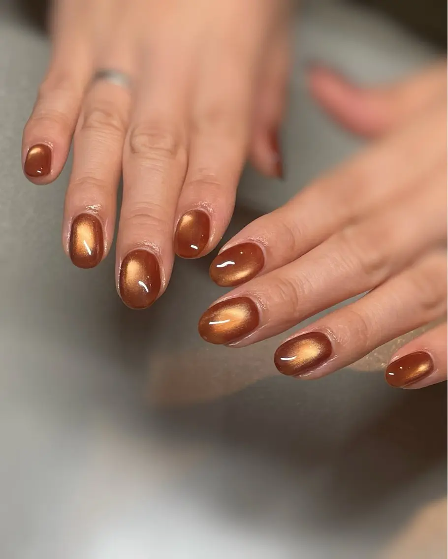 ネイル ブラウン マグネットネイル Nail Salon 'emのネイルデザイン