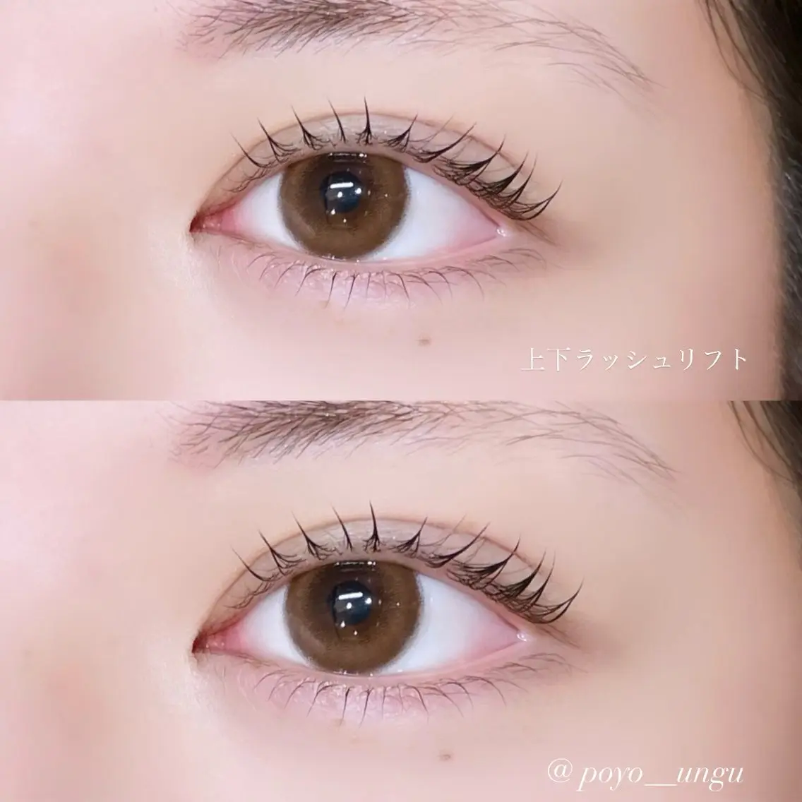 【ミニモSALE📣】👀上下まつ毛パーマset🌱¥11,000→¥6,600の写真