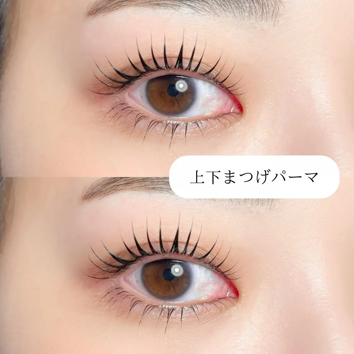 中顔面短縮✨大人気上下まつげパーマの写真