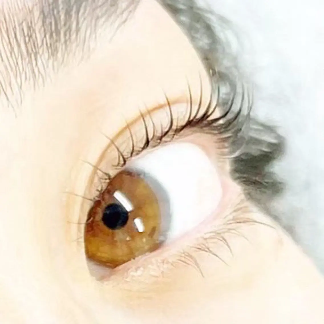 マツエク・マツパ eyelash- r🌹の眉毛・アイブロウイメージ