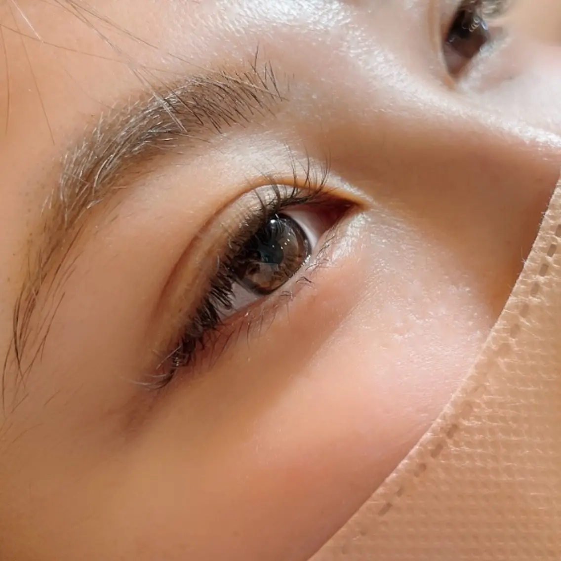 ボリュームラッシュ🌼300本(+500円でブラウン系変更◎)の写真
