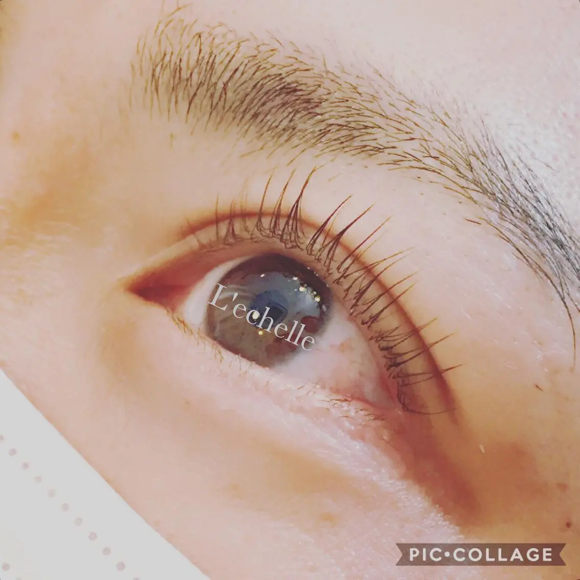 マツエク・マツパ 一重×まつ毛パーマ EYEIRO大宮東口 Watanabeのマツエク・マツパデザイン