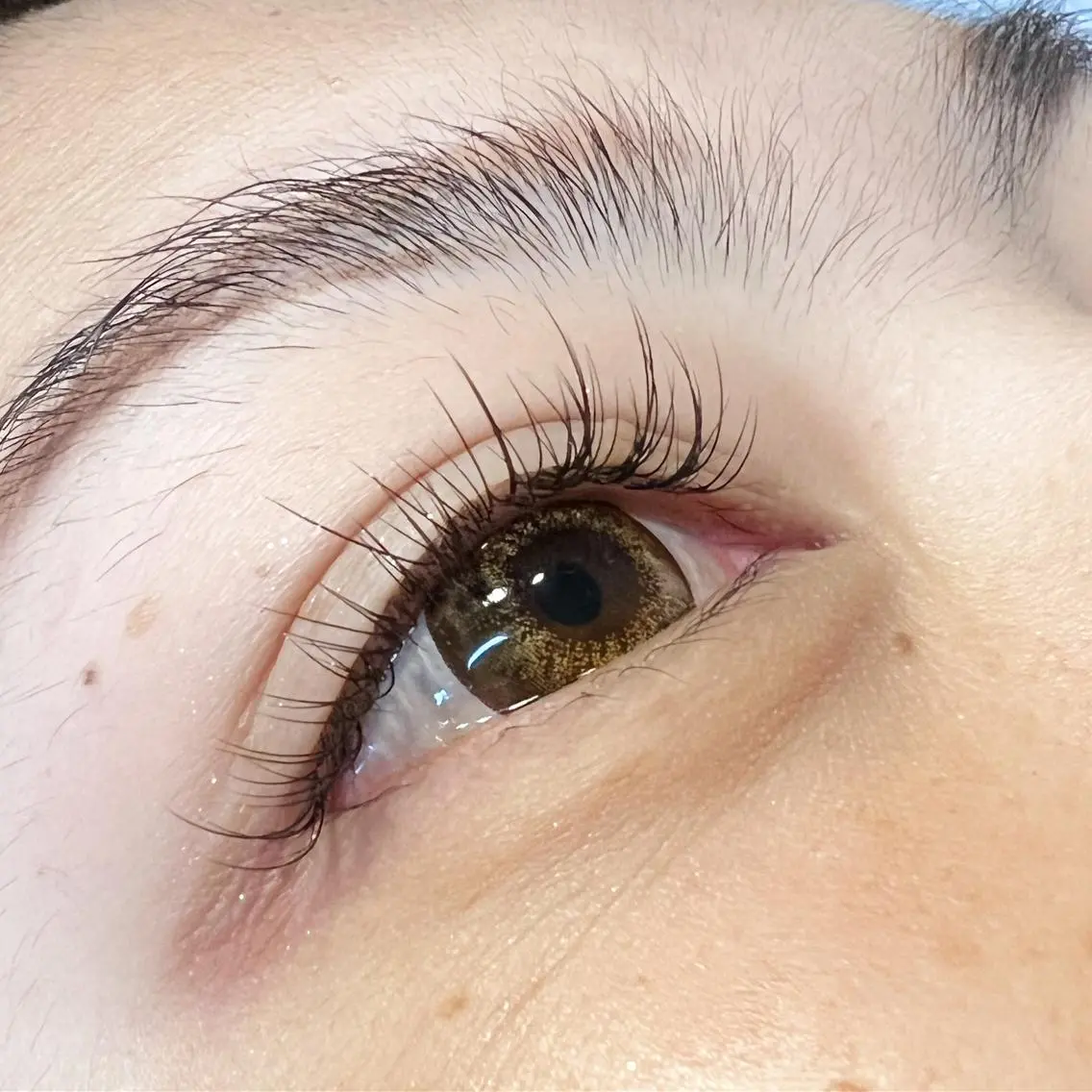 マツエク・マツパ フラットラッシュ マツエク Sifa eyelashのマツエク・マツパデザイン