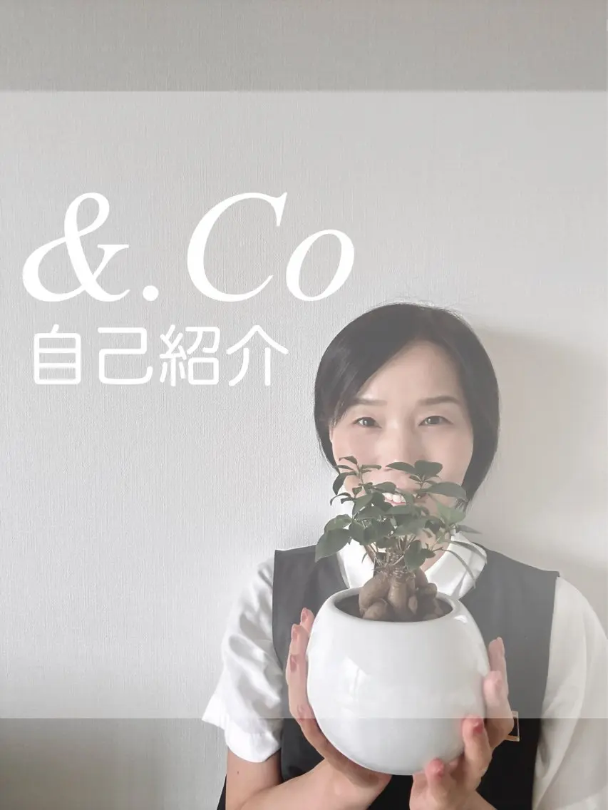 自己紹介の写真