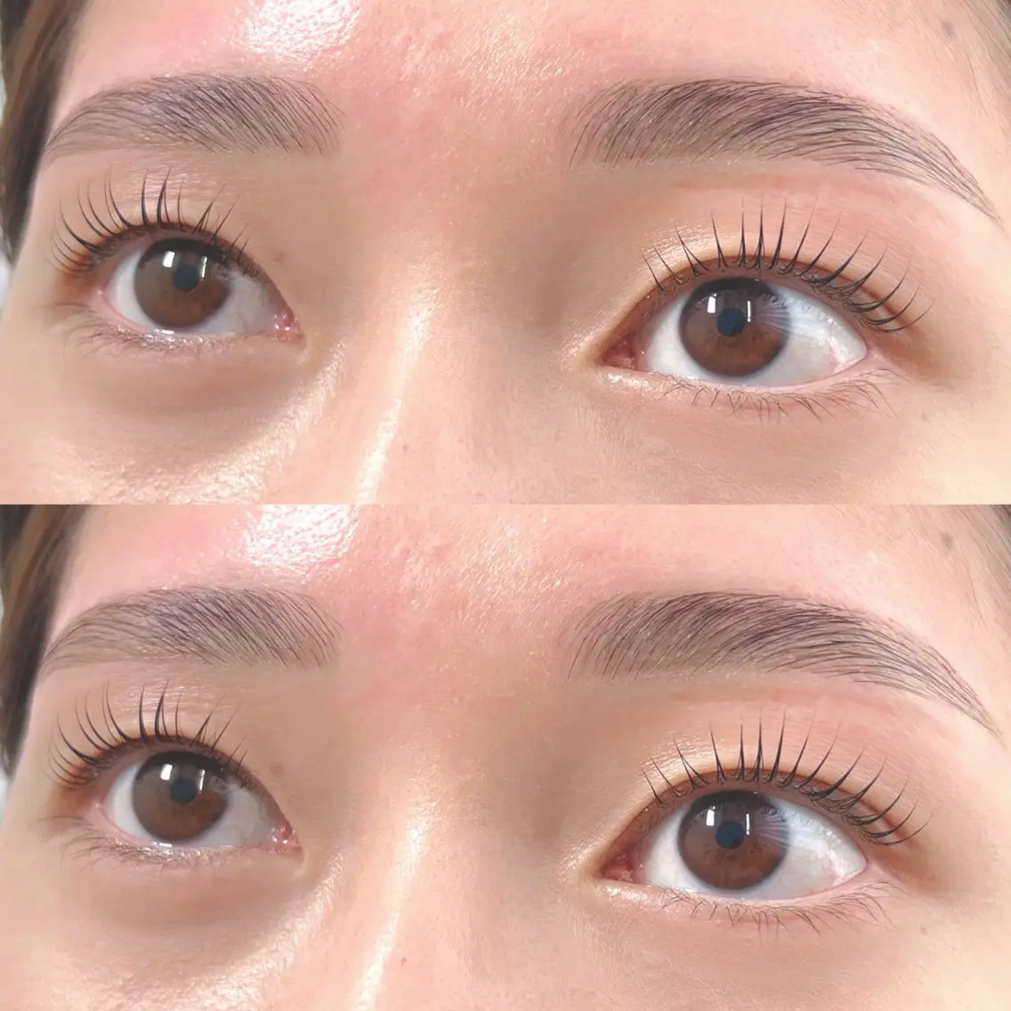 💎【学割】アイブロウwax+ ラッシュリフトorパリジェンヌ《高濃度美容液コーティング付き》の写真