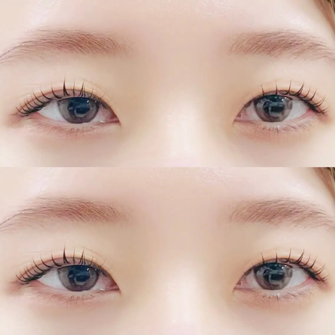 〖 ✧お得キャンペーン✧ 〗眉毛WAX＋ラッシュリフト上のみ…束感コーティング付✨の写真