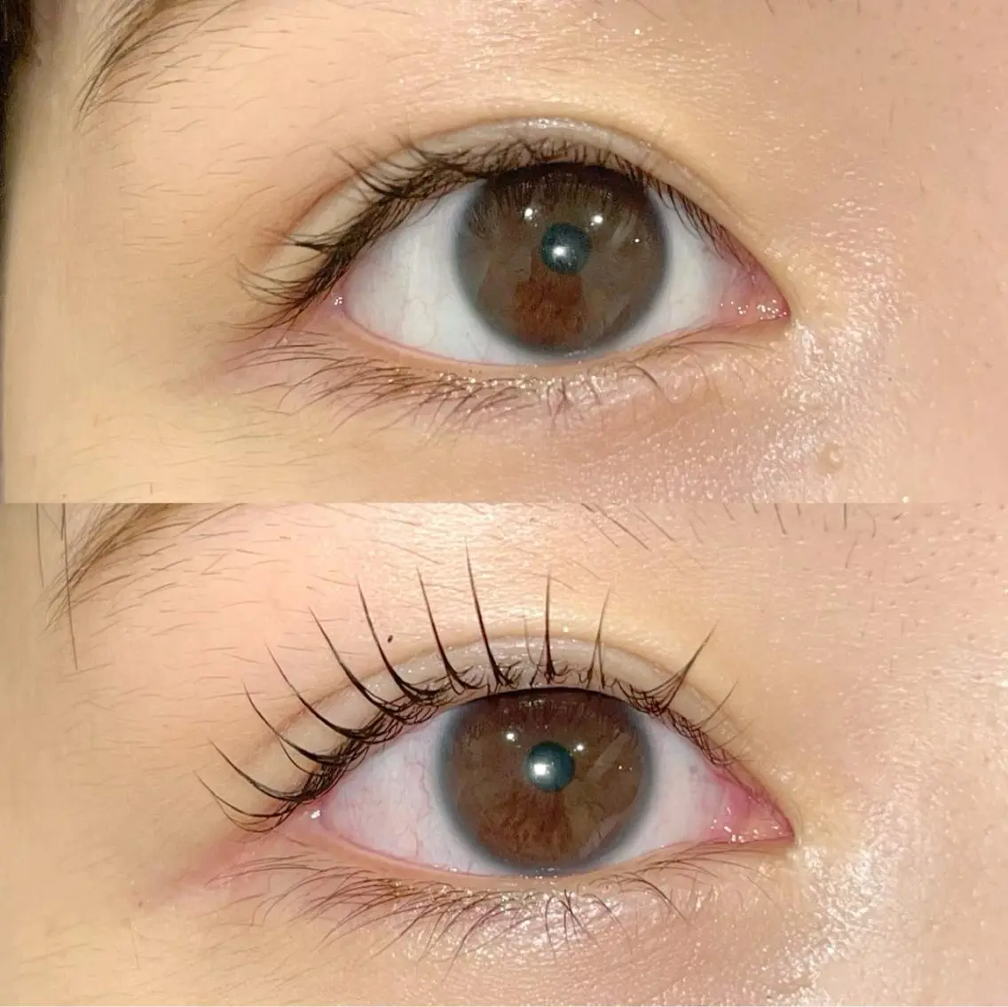 マツエク・マツパ パリジェンヌラッシュリフト まつげパーマ ai一重専門🎀束感 まつげ🫧表参道の眉毛・アイブロウイメージ