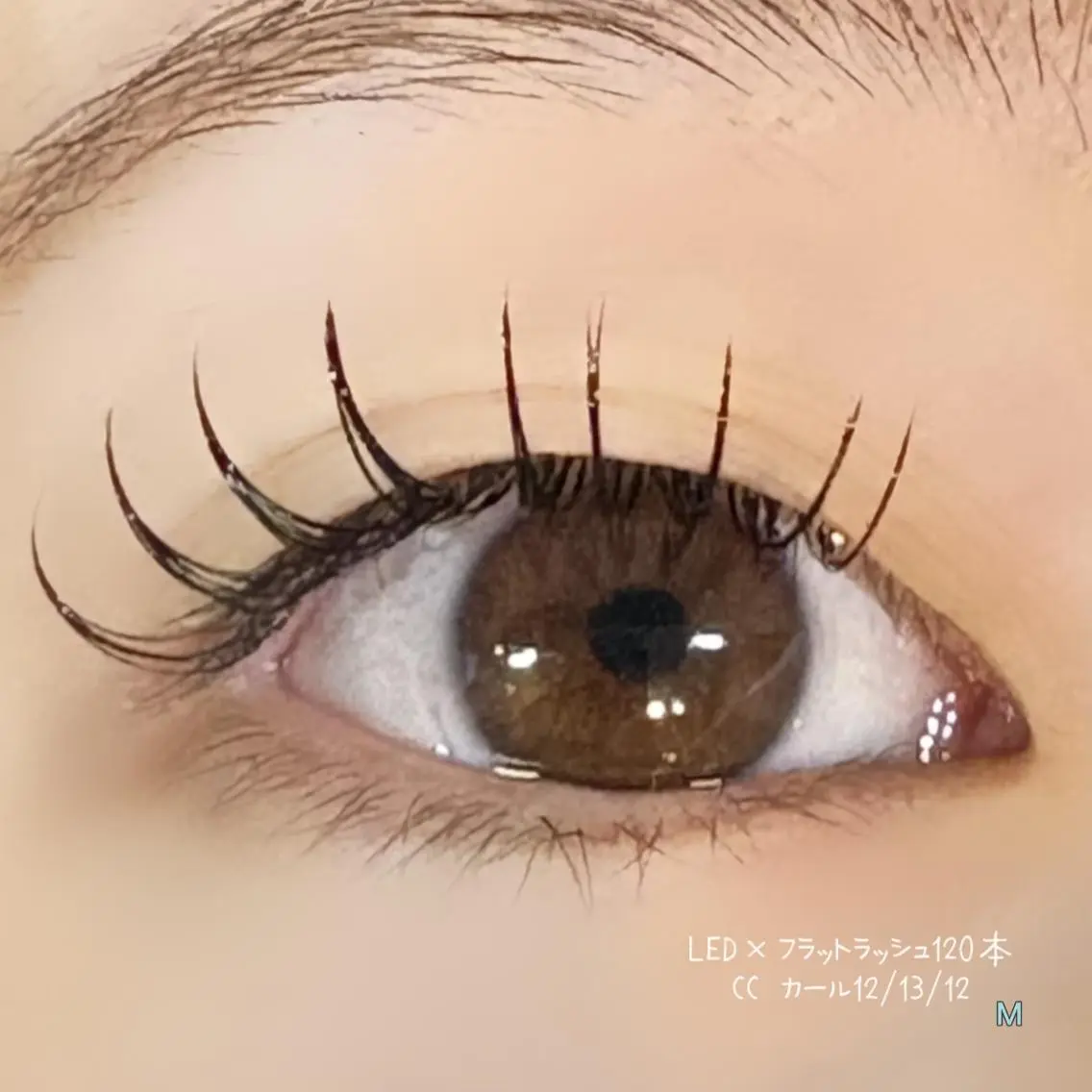 💙LED✖️フラットラッシュ120本💎コーティング仕上げ付き✨リピーター様+¥1000利用🆗の写真
