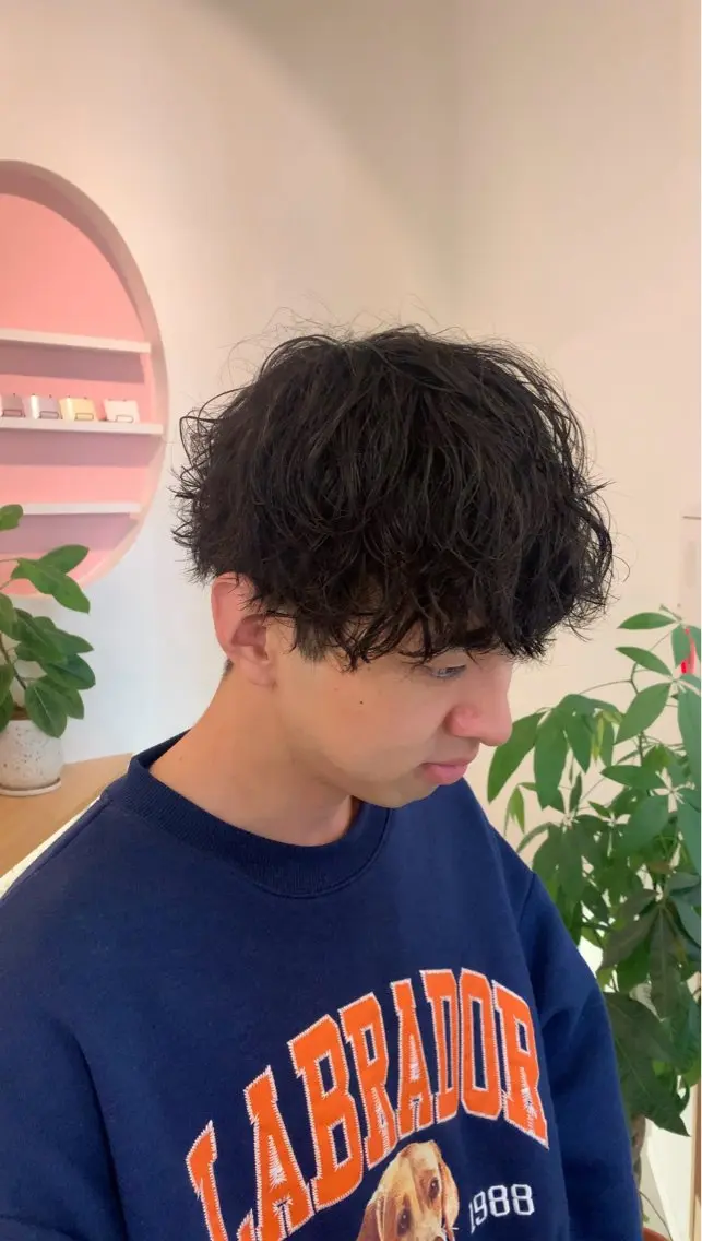 ⚠️営業時間外限定⚠️【メンズカット＋シャドウパーマ限定】の写真