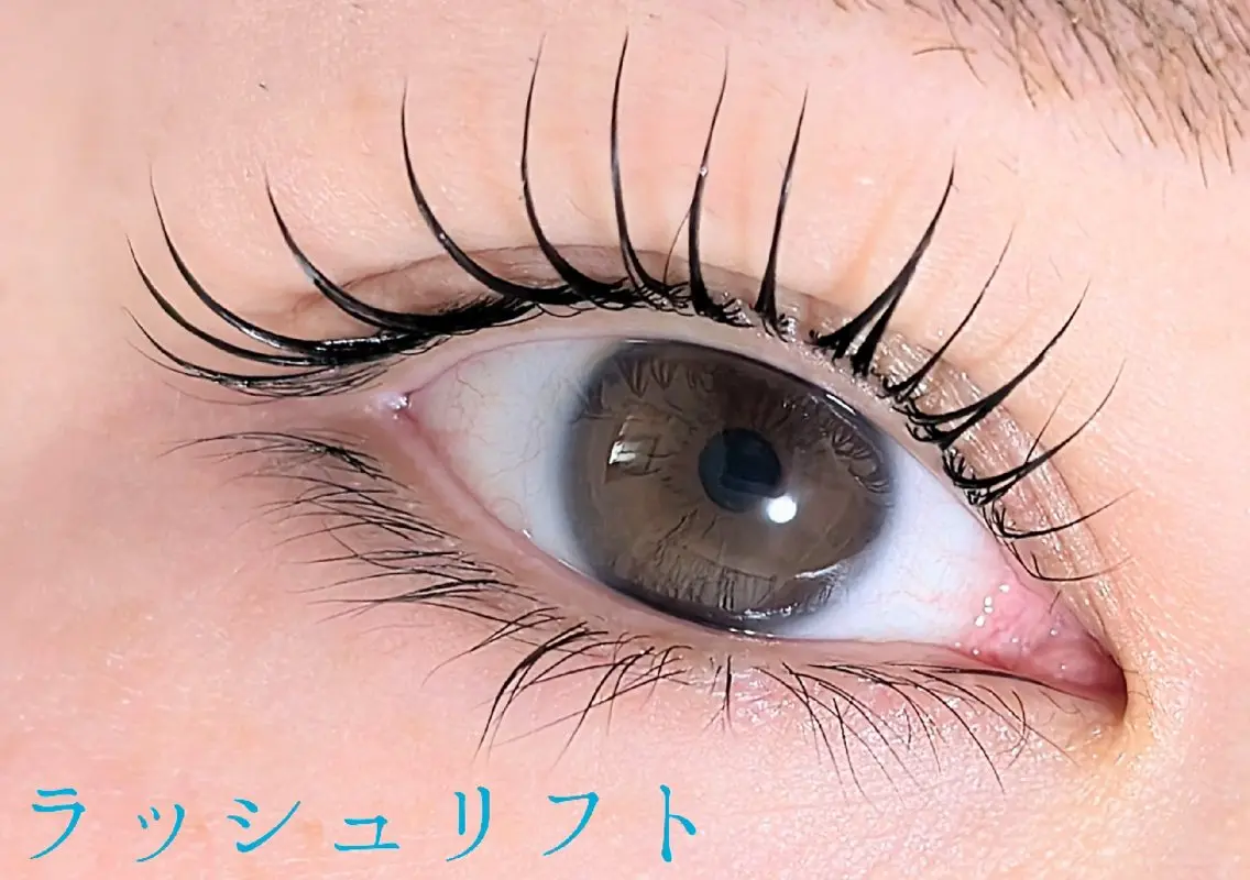 🎀ラッシュリフト/まつ毛パーマ🎀の写真