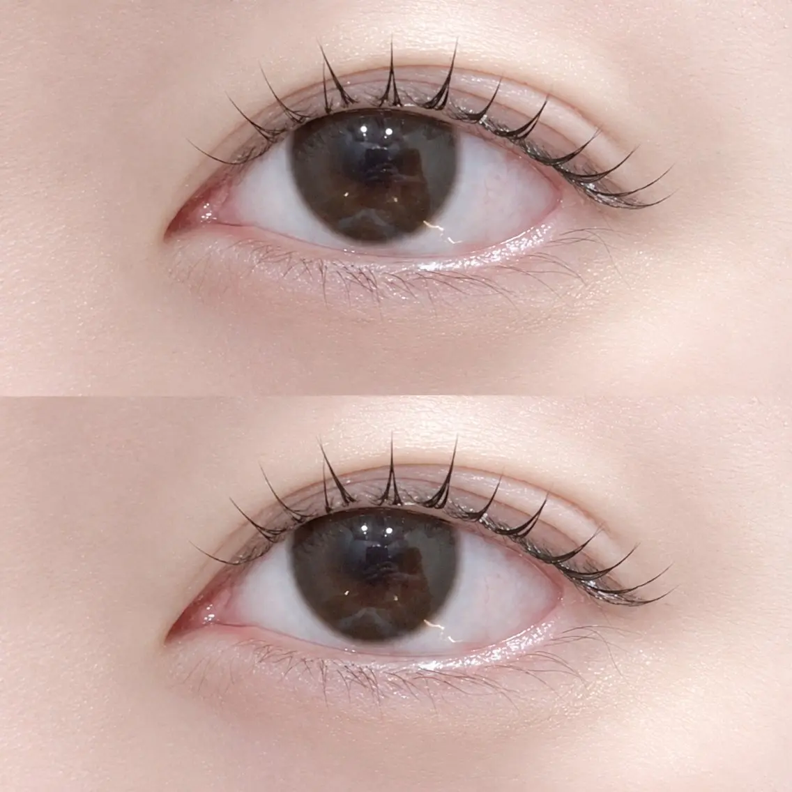 【練習モデル募集🍒ྀི】まつげパーマの写真