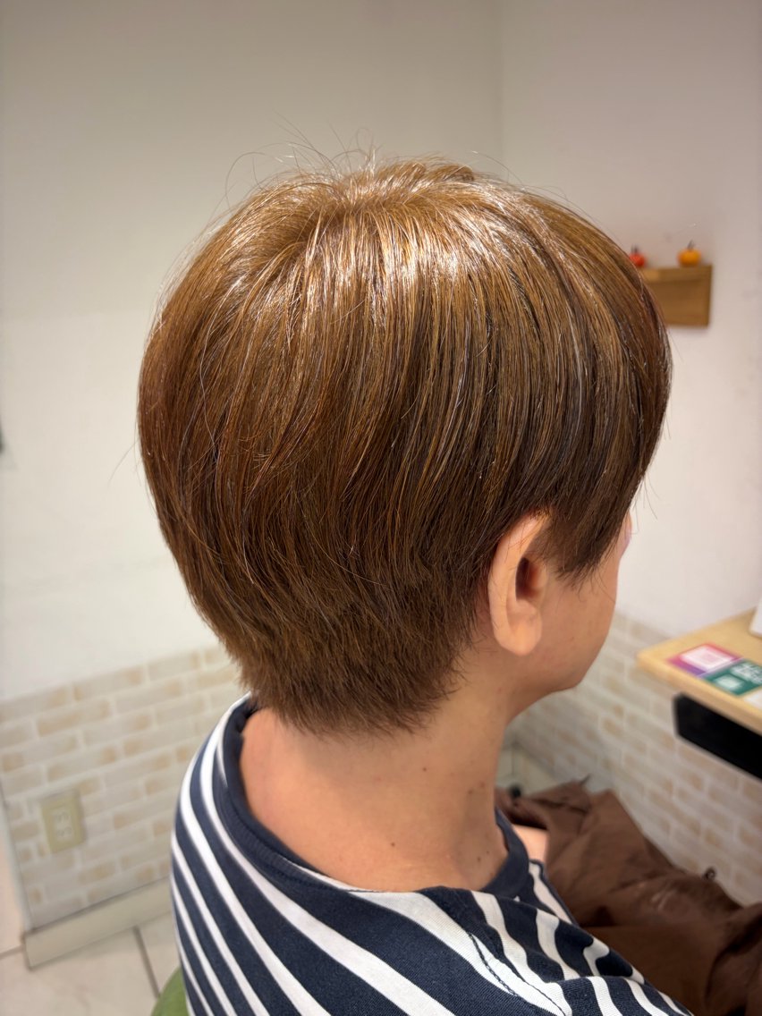 ショート カラー ハイライトカラー レイヤーカットのヘアスタイル