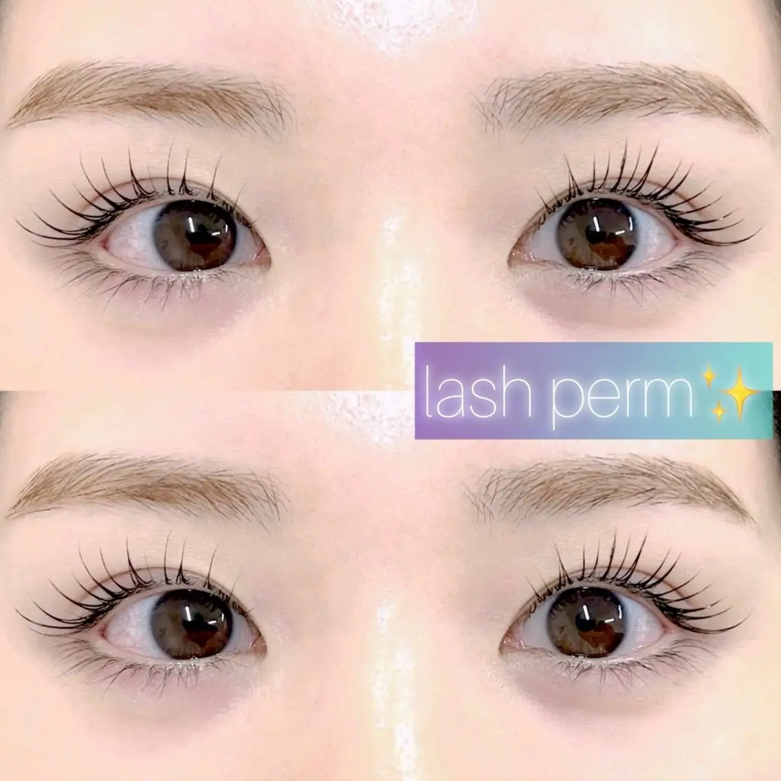 本日🈳あり❣️モデル様募集💕💕 まつ毛パーマ+コーティング仕上げ付✨の写真