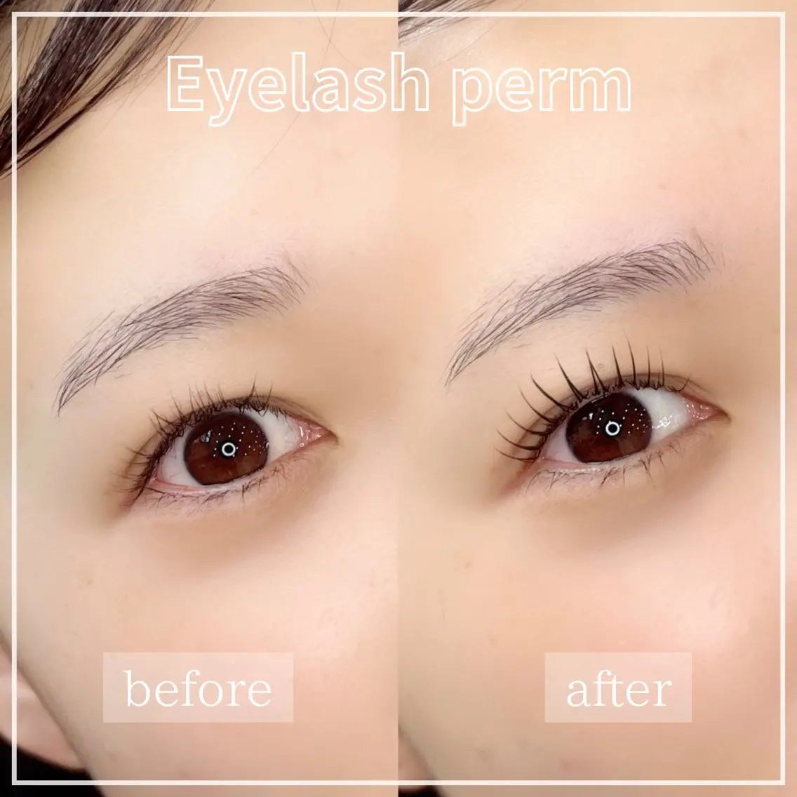 マツエク・マツパ マツパ WHITE EYE 🤍Mayukaの眉毛・アイブロウイメージ