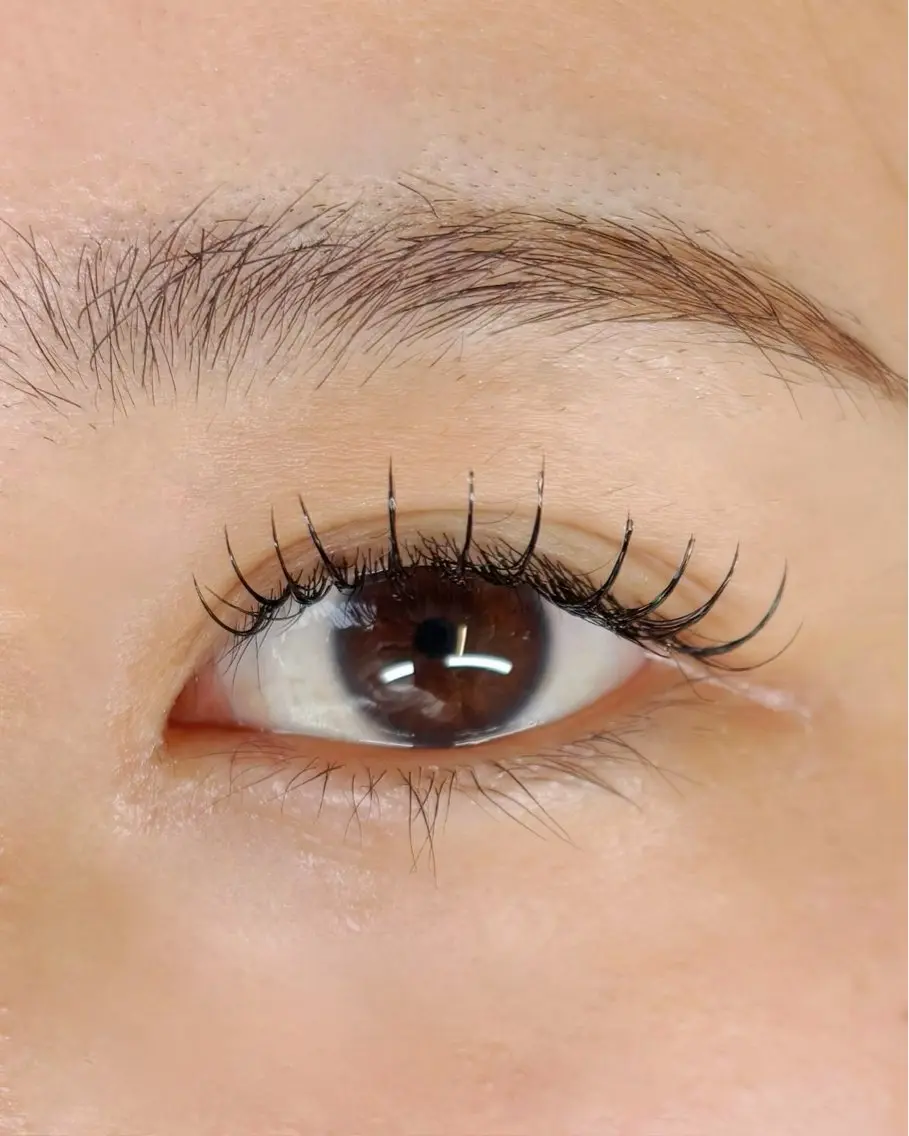 フラットラッシュ80本の写真