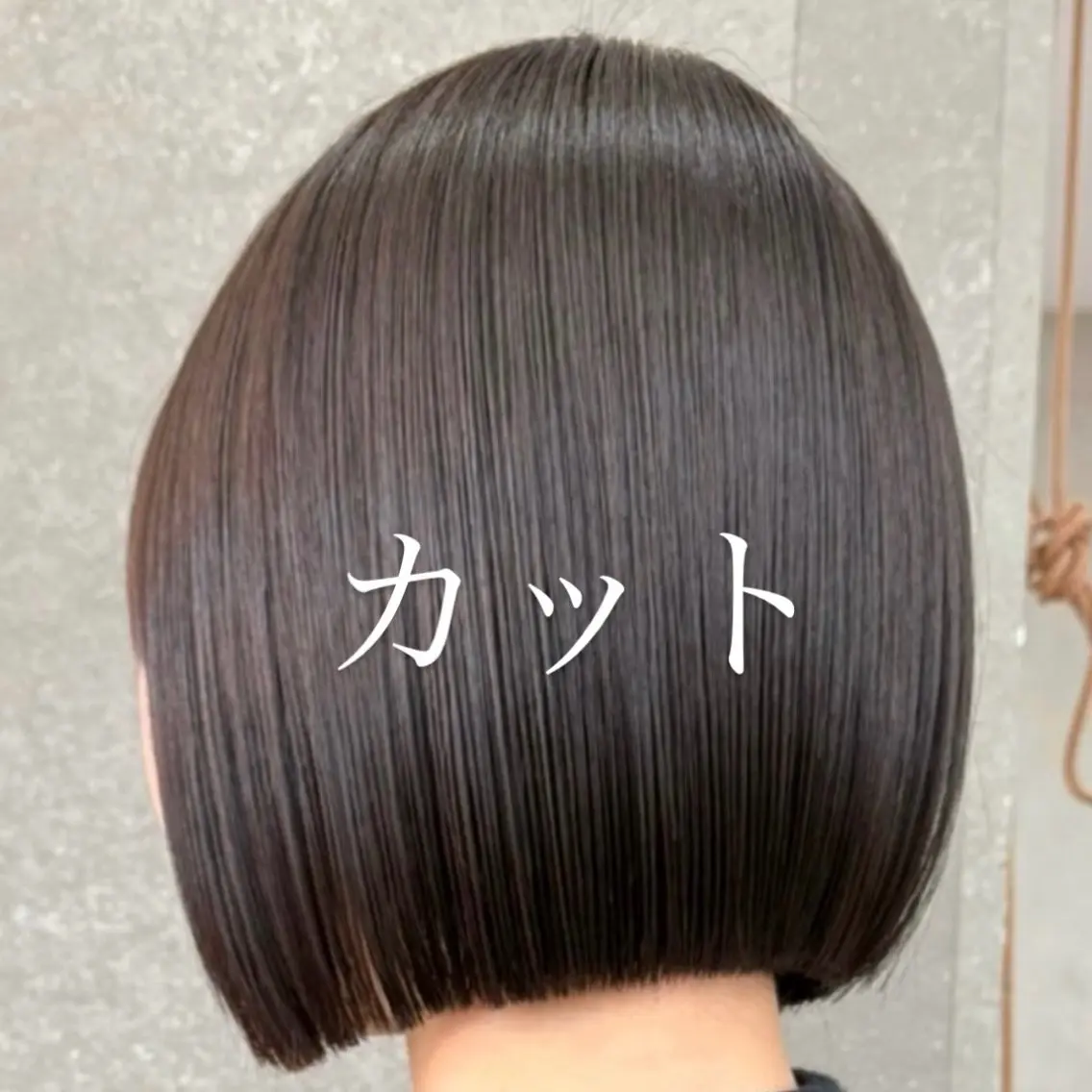 カットの写真