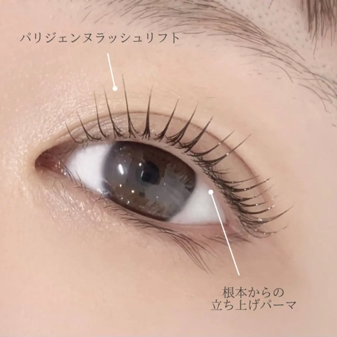 🤎パリジェンヌラッシュリフト🤎うるうるトリートメント付きの写真