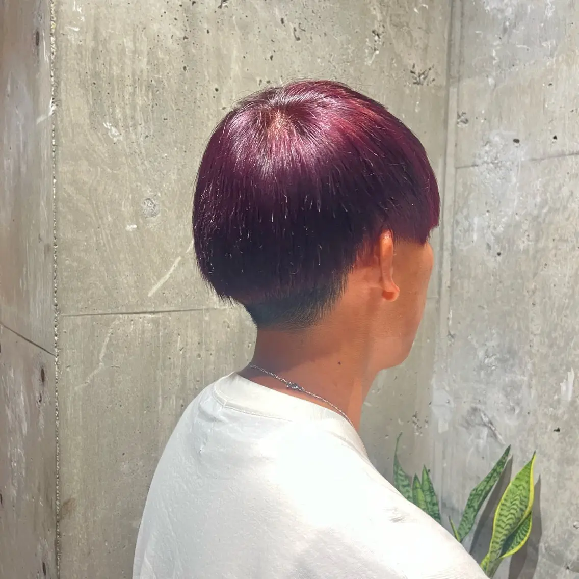 カラー レッドカラー 橋本 士のヘアスタイル