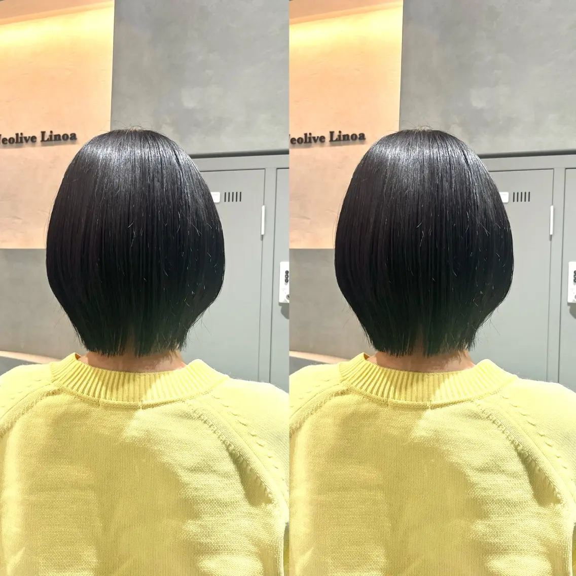🪻カット+1ステップトリートメント🪻の写真