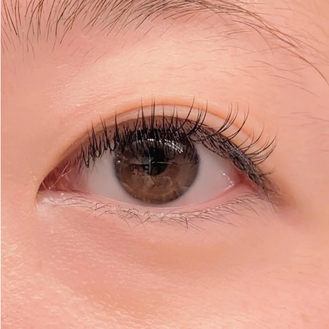 マツエク・マツパ フラットラッシュ eyelash Lilyのマツエク・マツパデザイン