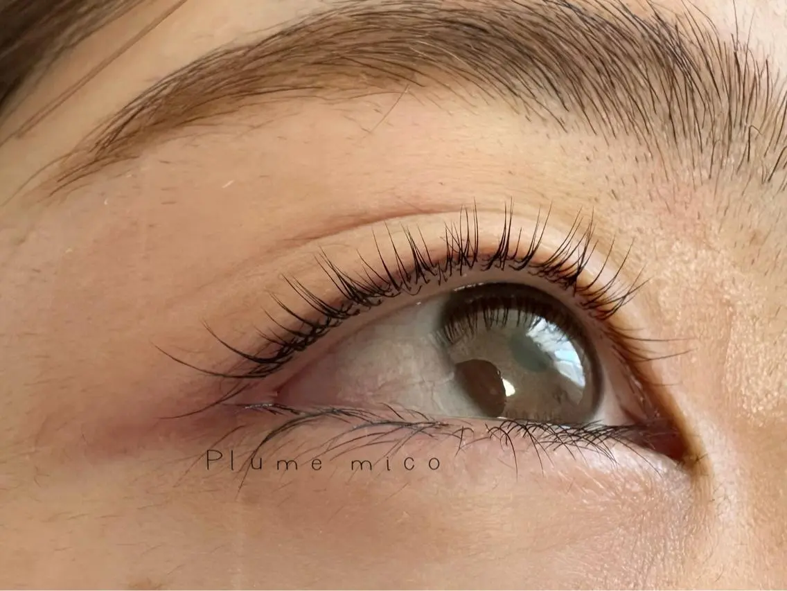 マツエク・マツパ マツパ Plume micoのマツエク・マツパデザイン