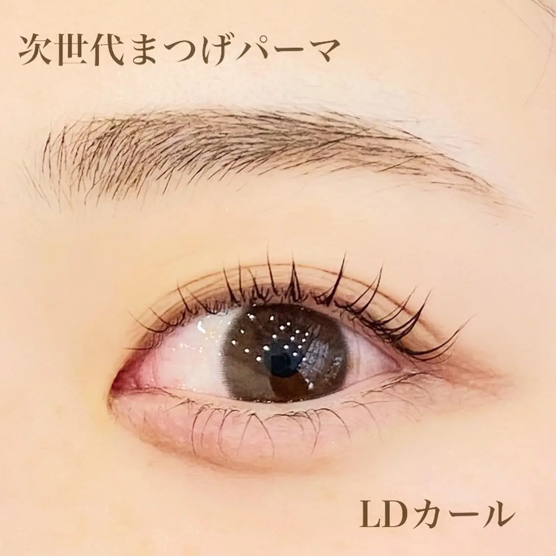 【2回目以降のお客様へ】次世代まつげパーマ✨ラッシュリフト♪保湿トリートメント付(指名料込)の写真