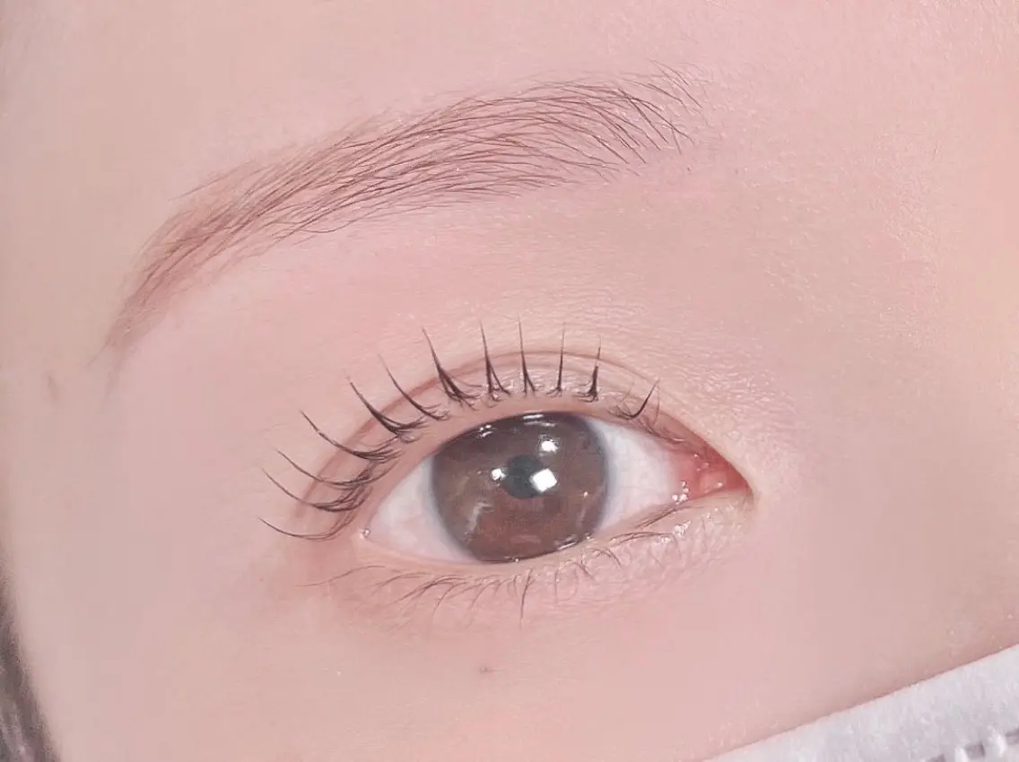 マツエク・マツパ マツパ Chipi Eyelashの眉毛・アイブロウイメージ
