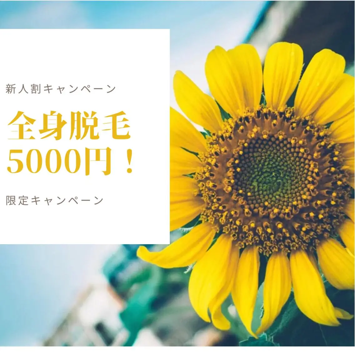 CHERIMO シェリモのネイルデザイン