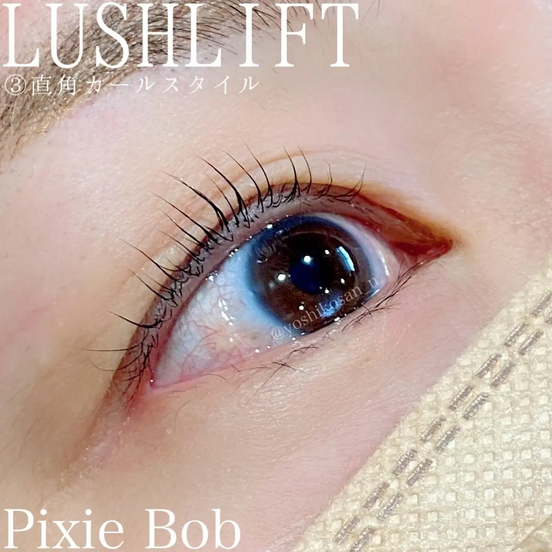 マツエク・マツパ カラーマツエク Pixie Bob 🐈‍⬛　位田のマツエク・マツパデザイン