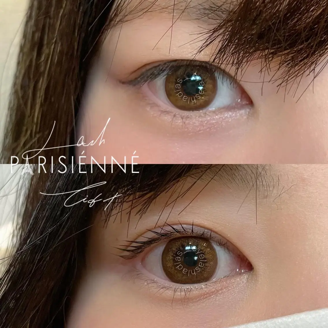 マツエク・マツパ マツパ LADIAS eyelashのマツエク・マツパデザイン