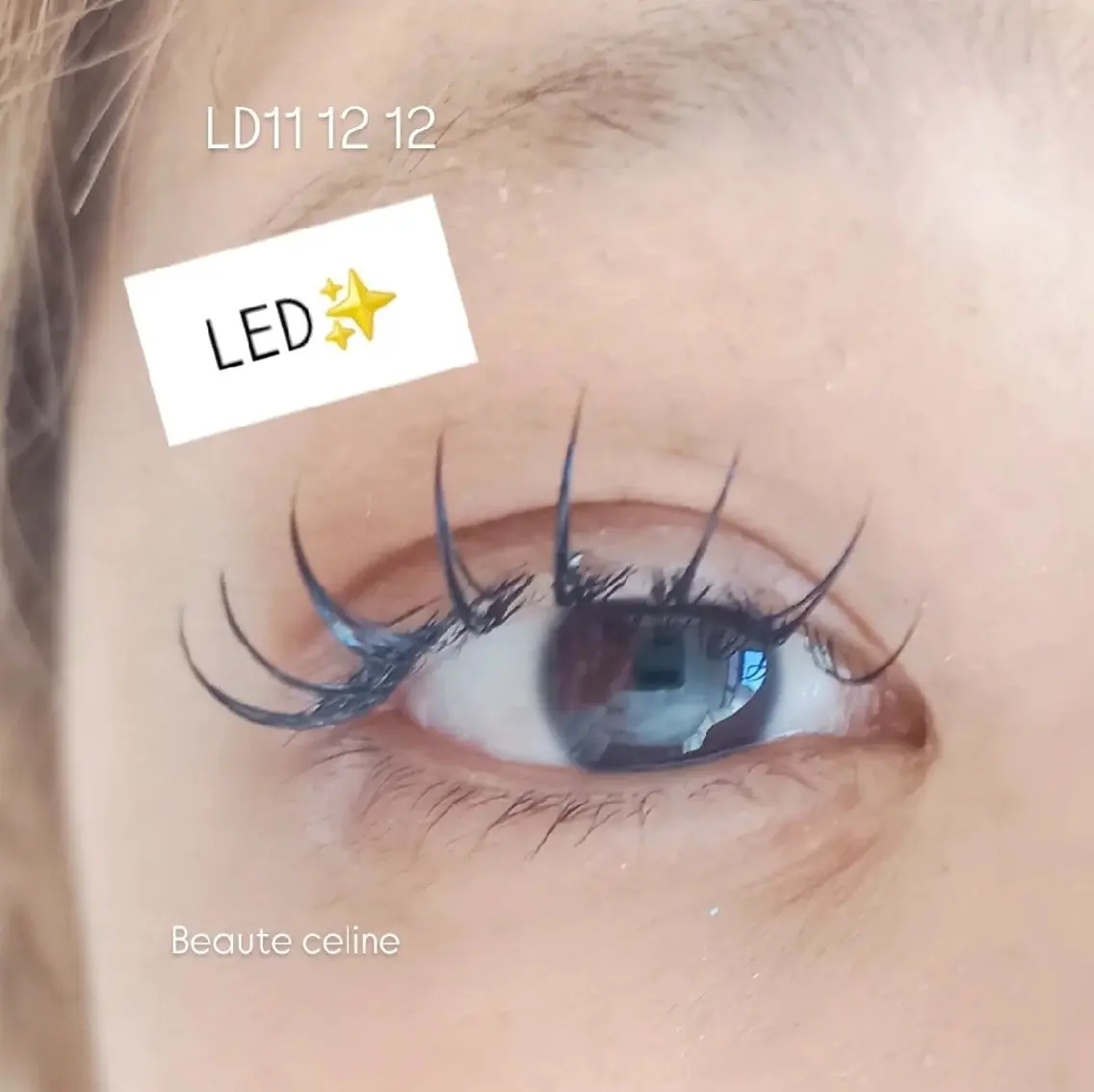 マツエク・マツパ マツエク LED✨beaute Celine🌛🌹のマツエク・マツパデザイン