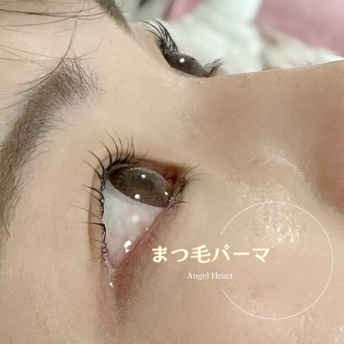 マツエク・マツパ エンジェルハート 林田のマツエク・マツパデザイン