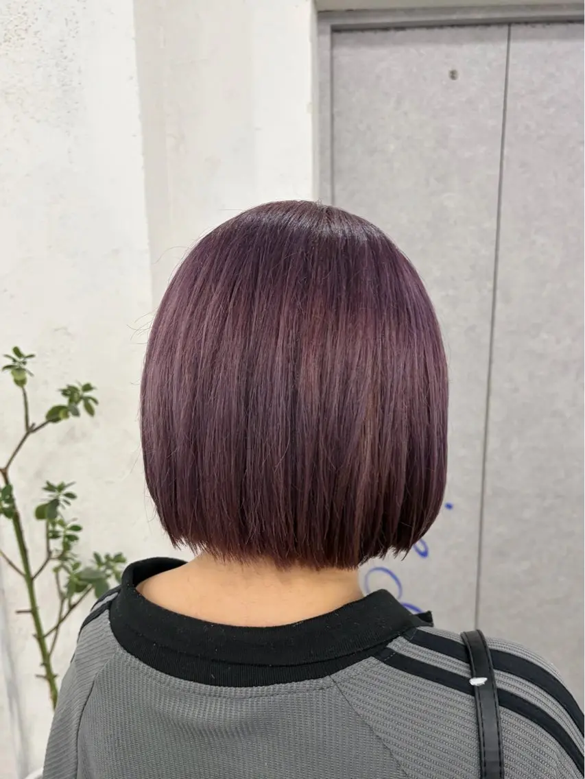 ショート カラー ブリーチ 透明感カラー グラデーションカラー ハイライトカラー ハイトーンカラー カット ヘアカラー トリートメント 韓国レイヤー🦋 ブリーチtomokoのヘアスタイル