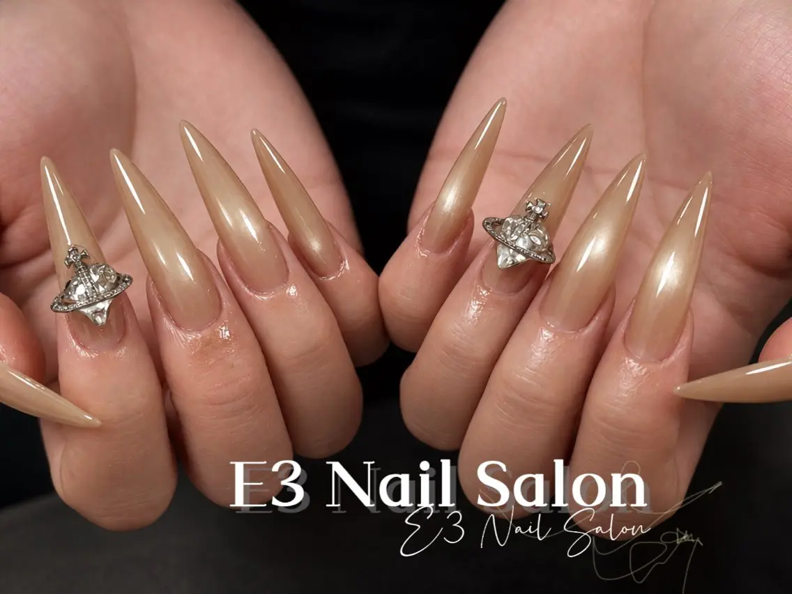 ネイル アニマル柄 オーロラネイル べっ甲ネイル ボルドー ブラウン ハンドネイル E3 Nail Salonのネイルデザイン