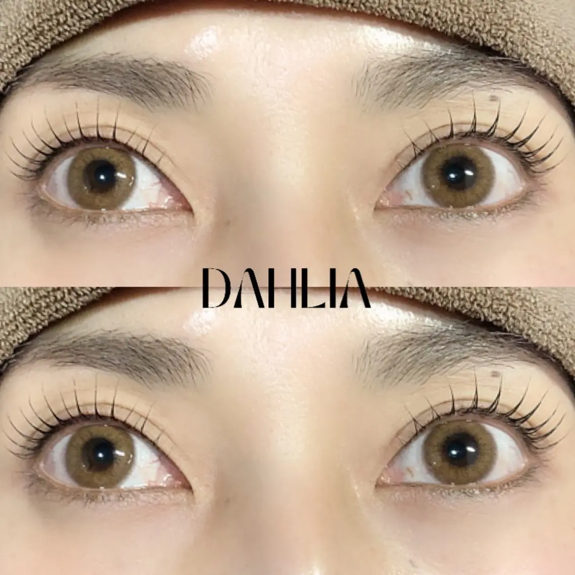 マツエク・マツパ まつげパーマ Dahliaダリア 斉藤のマツエク・マツパデザイン