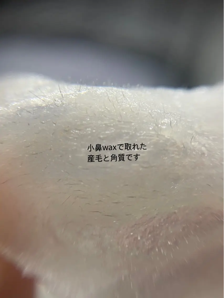 アイブロウ eclipse eyelashのマツエク・マツパデザイン