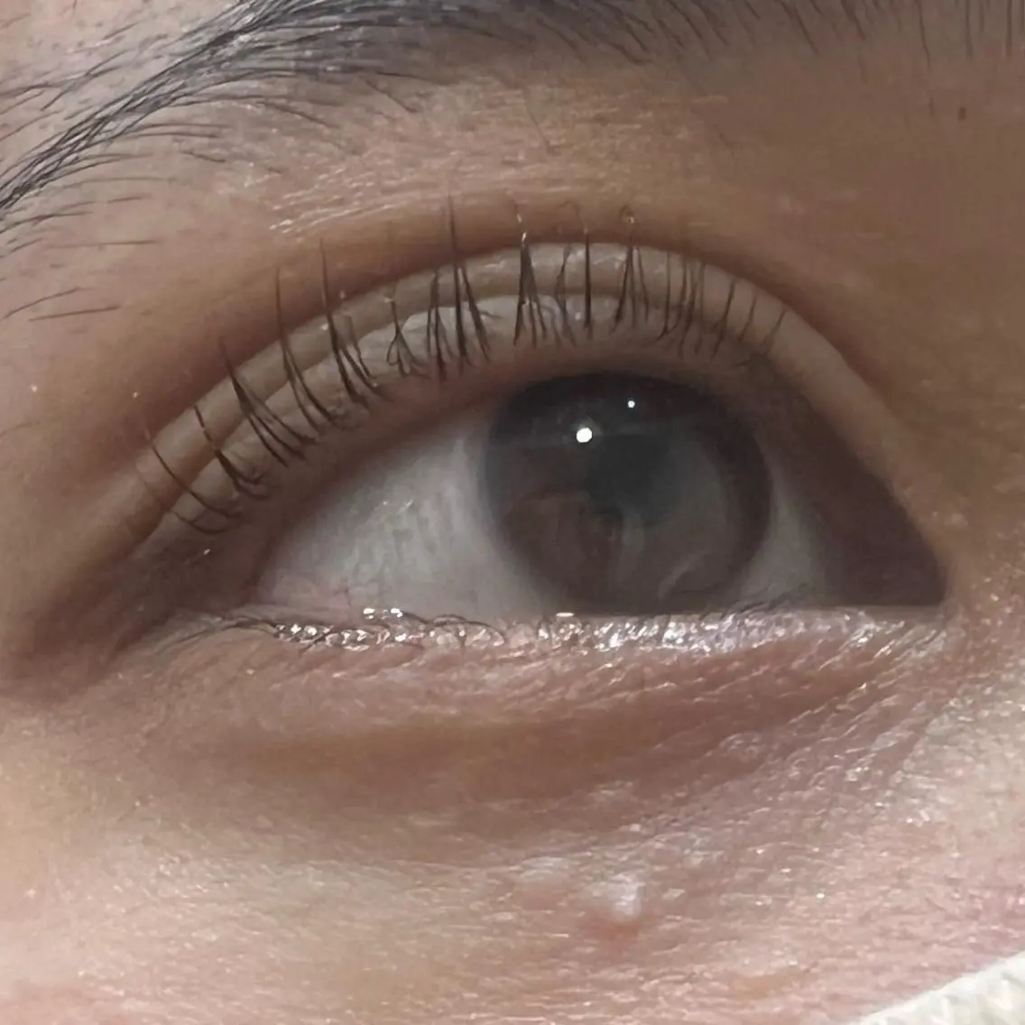 マツエク・マツパ WHITE EYE Maoの眉毛・アイブロウイメージ