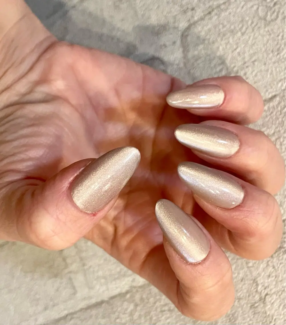 ネイル ジェルネイル マグネットネイル シンプルネイル ネイルチップ 【新宿】Nail Yamazakiのネイルデザイン