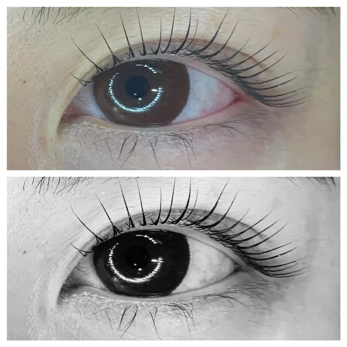 ◎オーガニックケラチンtreatment◎まつ毛パーマbefore after撮影のご協力頂ける方。の写真