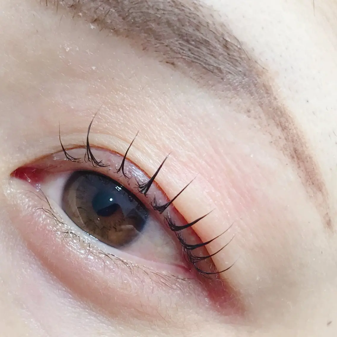 マツエク・マツパ eyelash catwinkのマツエク・マツパデザイン